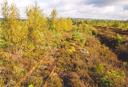 735 ib torvbane skageinamdal